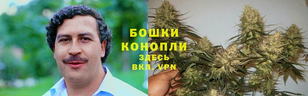стаф Кодинск