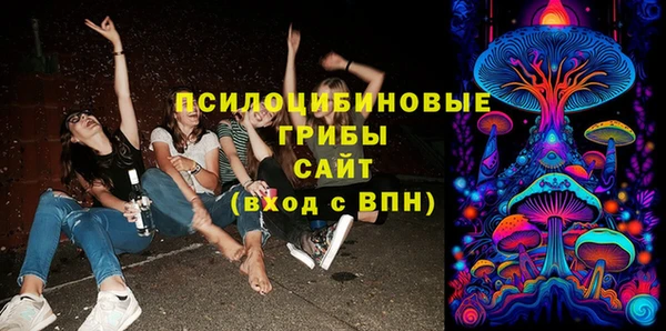 Альфа ПВП Козельск