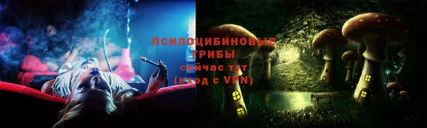 мдпв Чекалин