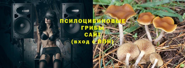 эйфоретик Коряжма