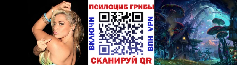 наркошоп  Щёкино  Галлюциногенные грибы Psilocybe 